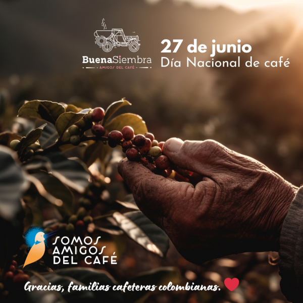 Celebrando el Día Nacional del Café: Un Tributo a Nuestras Familias Cafeteras